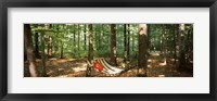 Framed Hammock in a forest, Baden-Wurttemberg, Germany