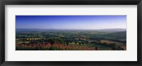 Framed Trees on a landscape, Uley, Cotswold Hills, Gloucestershire, England