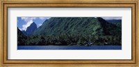 Framed Trees on the coast, Tahiti, French Polynesia
