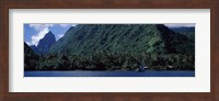 Framed Trees on the coast, Tahiti, French Polynesia