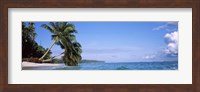 Framed Palm trees on the beach, Indonesia