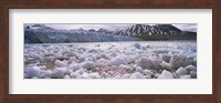 Framed Ice floes in the sea with a glacier in the background, Norway