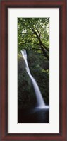 Framed Waterfall in a forest, Horsetail falls, Larch Mountain, Hood River, Columbia River Gorge, Oregon, USA