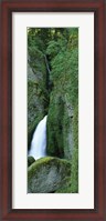 Framed Waterfall in a forest, Columbia River Gorge, Oregon, USA