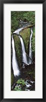 Framed High angle view of a waterfall in a forest, Triple Falls, Columbia River Gorge, Oregon (vertical)