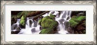 Framed Cascading waterfall in a rainforest, Olympic National Park, Washington State, USA