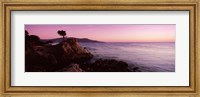 Framed Silhouette of a cypress tree at coast, The Lone Cypress, 17 mile Drive, Carmel, California, USA