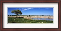 Framed Wild animals at a waterhole, Okaukuejo, Etosha National Park, Kunene Region, Namibia