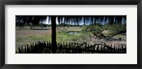 Framed View from a hut, waterhole, Onguma Bush Camp, Etosha National Park, Kunene Region, Namibia