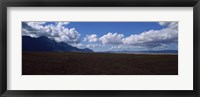 Framed Cattle pasture, Highway N7 from cape town to Namibia towards Citrusdal, Western Cape Province, South Africa