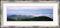 Framed View of San Francisco from Mt Tamalpais, Marin County, California, USA