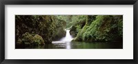 Framed Waterfall in a forest, Punch Bowl Falls, Eagle Creek, Hood River County, Oregon, USA