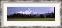 Framed Field with a snowcapped mountain in the background, Mt Hood, Oregon (horizontal)