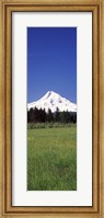 Framed Field with a snowcapped mountain in the background, Mt Hood, Oregon (vertical)