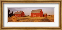 Framed Red barns in a farm, Palouse, Whitman County, Washington State, USA