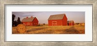 Framed Red barns in a farm, Palouse, Whitman County, Washington State, USA