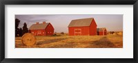 Framed Red barns in a farm, Palouse, Whitman County, Washington State, USA