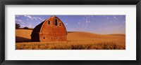 Framed Old barn in a wheat field, Palouse, Whitman County, Washington State