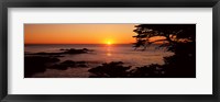 Framed Sunset over the sea, Point Lobos State Reserve, Carmel, Monterey County, California, USA