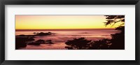 Framed Sea at sunset, Point Lobos State Reserve, Carmel, Monterey County, California, USA