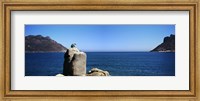 Framed Bronze leopard statue on a boulder, Hout Bay, Cape Town, Western Cape Province, South Africa