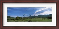 Framed Hot Air Balloon Rodeo, Steamboat Springs, Colorado (horizontal)