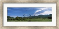 Framed Hot Air Balloon Rodeo, Steamboat Springs, Colorado (horizontal)