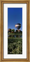 Framed Reflection of hot air balloons in a lake, Hot Air Balloon Rodeo, Steamboat Springs, Colorado, USA