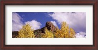 Framed Clouds above aspen trees in autumn, Colorado
