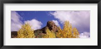 Framed Clouds above aspen trees in autumn, Colorado