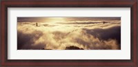 Framed Golden Gate Bridge Peaking through the fog, San Francisco, California