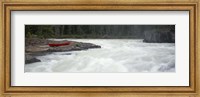 Framed River flowing in a forest, Kicking Horse River, Yoho National Park, British Columbia, Canada