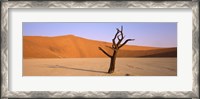 Framed Dead tree in a desert, Dead Vlei, Sossusvlei, Namib-Naukluft National Park, Namibia