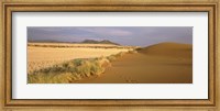 Framed Animal tracks on the sand dunes towards the open grasslands, Namibia