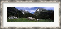 Framed Mountains in a forest, Mt Santis, Mt Altmann, Appenzell Alps, St Gallen Canton, Switzerland