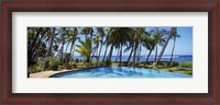 Framed Palm Trees in Maui, Hawaii (horizontal)