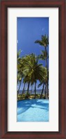 Framed Palm Trees in Maui, Hawaii (vertical)