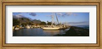 Framed Sailboats in the bay, Lahaina Harbor, Lahaina, Maui, Hawaii, USA