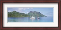 Framed Sailboats in the sea, Tahiti, Society Islands, French Polynesia