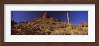 Framed Organ Pipe Cactus National Monument, Arizona