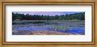 Framed Pond in a national park, Bubble Pond, Acadia National Park, Mount Desert Island, Hancock County, Maine, USA
