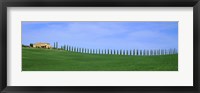 Framed Farmhouse in a field, San Quirico d'Orcia, Orcia Valley, Siena Province, Tuscany, Italy
