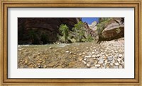 Framed North Fork of the Virgin River, Zion National Park, Washington County, Utah, USA