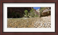 Framed North Fork of the Virgin River, Zion National Park, Washington County, Utah, USA