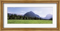 Framed Trees on a hill with mountain range in the background, Karwendel Mountains, Risstal Valley, Hinterriss, Tyrol, Austria