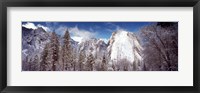 Framed Snowy trees with rocks in winter, Cathedral Rocks, Yosemite National Park, California, USA