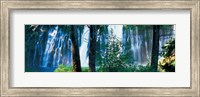 Framed Waterfall in a forest, McArthur-Burney Falls Memorial State Park, California