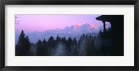 Framed Trees with snow covered mountains at sunset in winter, Combloux, Mont Blanc Massif, Haute-Savoie, Rhone-Alpes, France