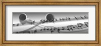 Framed Music notes superimposed on ear phones