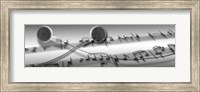 Framed Music notes superimposed on ear phones